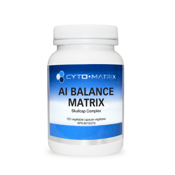 AI Balance Matrix